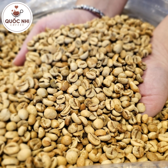 CAFE ĐẶC SẢN NATURAL